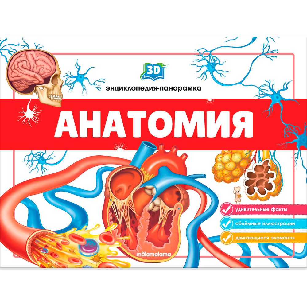3D энциклопедия-панорамка, Анатомия, 978-500134-540-4