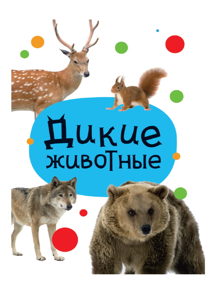 ЦК МИНИ ДИКИЕ ЖИВОТНЫЕ