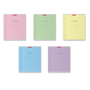 Тетради А5, 12л., КОСАЯ ЛИНИЯ школьная классика "ErichKrause", цвета ассорти