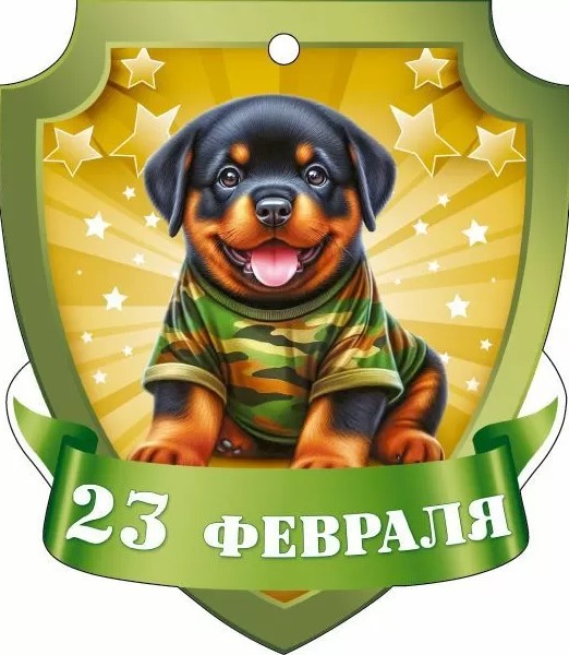 Бирка '23 февраля', (1;уп), 23.330