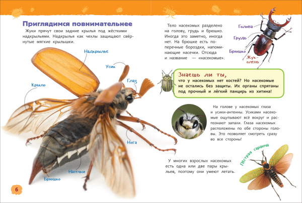 bb353369d3ef32ee352317cd91a986ce