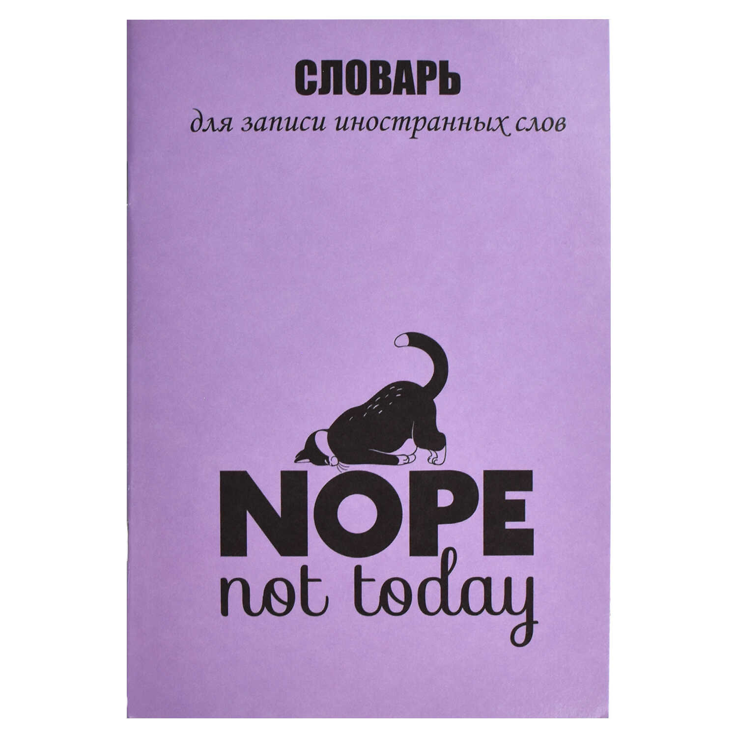 Словарь для записи иностранных слов А5, 'Феникс +', Не сегодня, 24 листа, линия, 67516