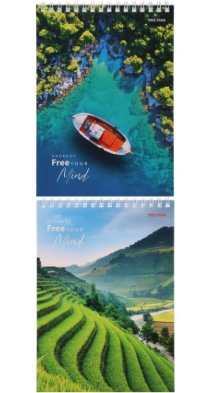 БЛОКНОТ А5, 40л. ЖИВОПИСНЫЕ ПРОСТОРЫ ассорти, на гребне, 40-7971