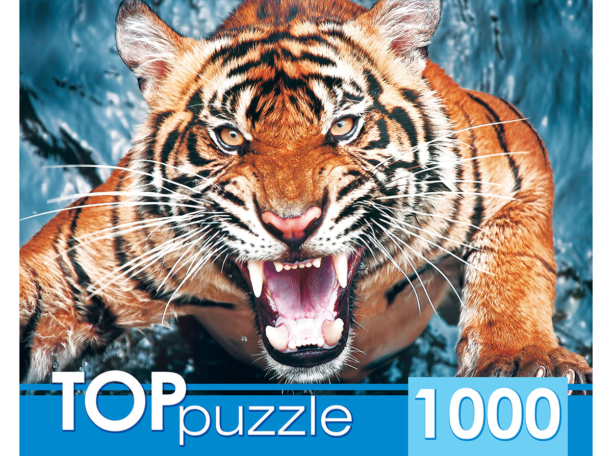 TOPpuzzle. ПАЗЛЫ 1000 элементов.'Грозный тигр', ХТП1000-2145