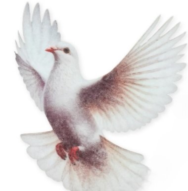 Лазерная вырубка из фетра 'Голубь' 6х6,5 см (10 шт) №23, 253-995