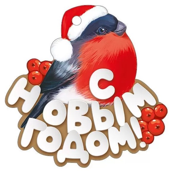 Бирка 'С Новым Годом', (1;уп), 92.427.00
