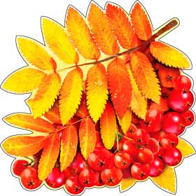 Украшение на скотче 'Рябина', (1;уп), А-32-А