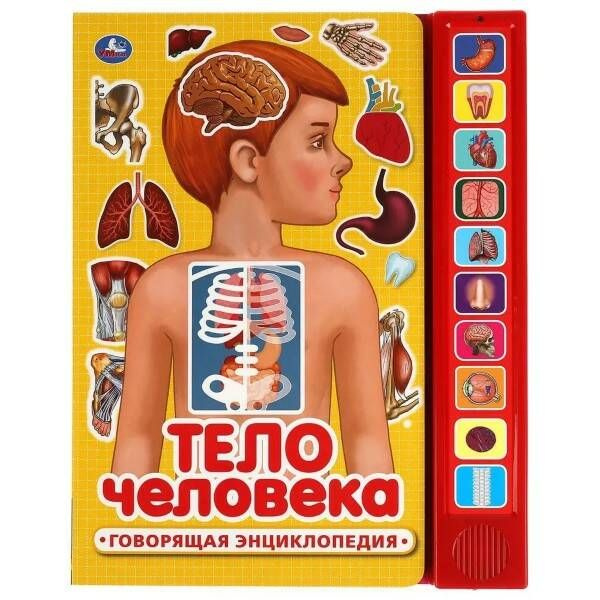Музыкальная книга 'Тело человека. Говорящая энциклопедия', 10 кнопок, 978-5-506-03669-2
