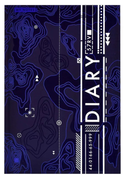 Ежедневник недатированный 'DIARY.Рельеф', А5 , 80 листов, 61456