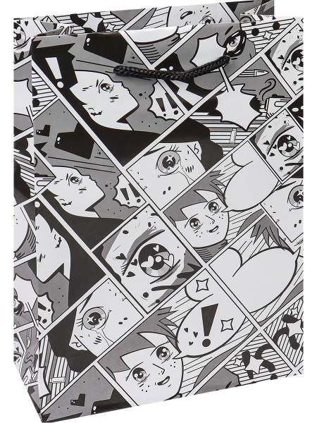 Пакет подарочный с глянц.ламинацией 18x23x10 см (M) История, 157 г, ПКП-4229