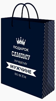Пакет подарочный с мат.лам. 22x31x10 см (МL) Подарок лучшему мужчине, 157 г (собс.разр.) ППК-1243